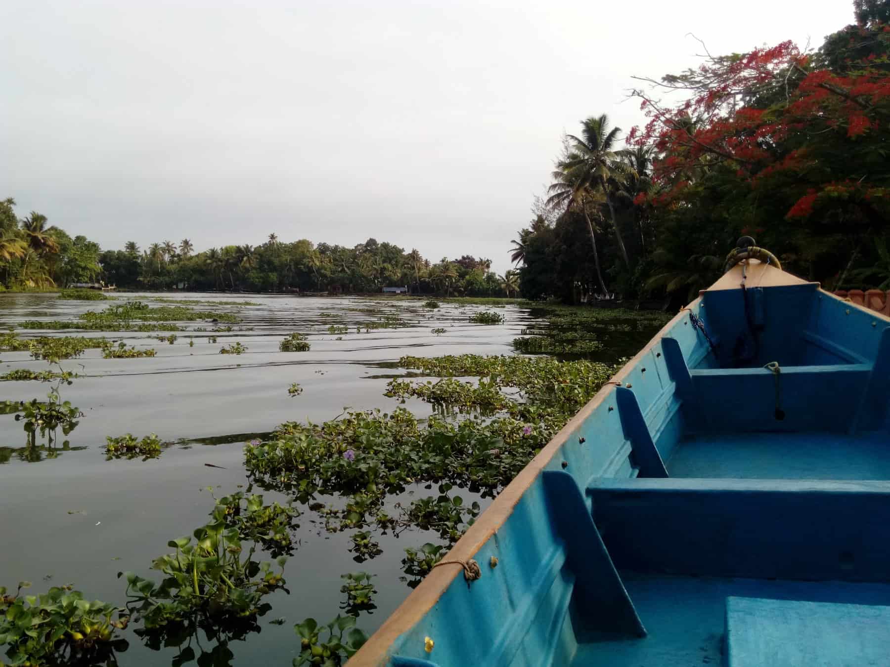 How to experience the Keralan Backwaters - ETG Blog