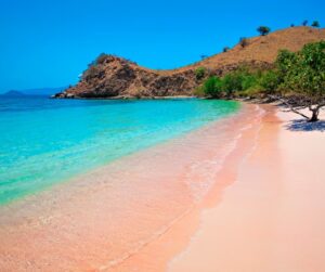 Complete Guide to the Pink Beaches of Indonesia - ETG Blog