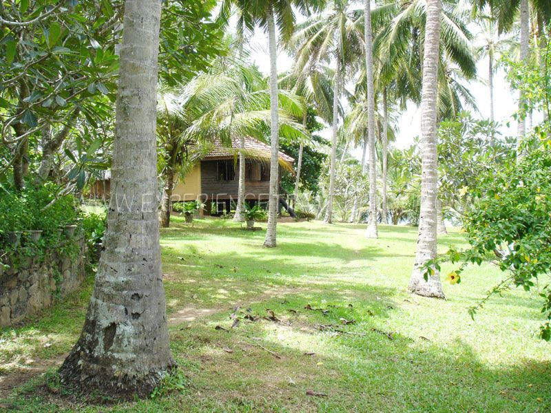 Palm Paradise Cabanas, Tangalle | Sri Lanka Experience Travel Group