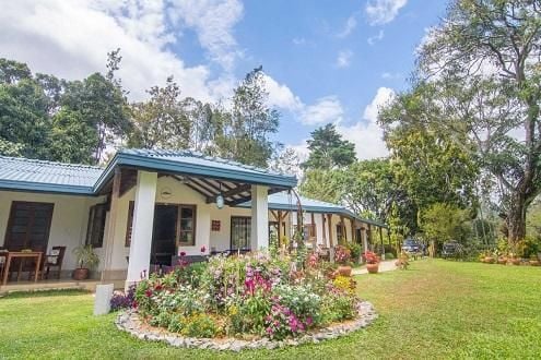 Ceylon Tea Bungalows Sri Lanka Experience Travel Group - 