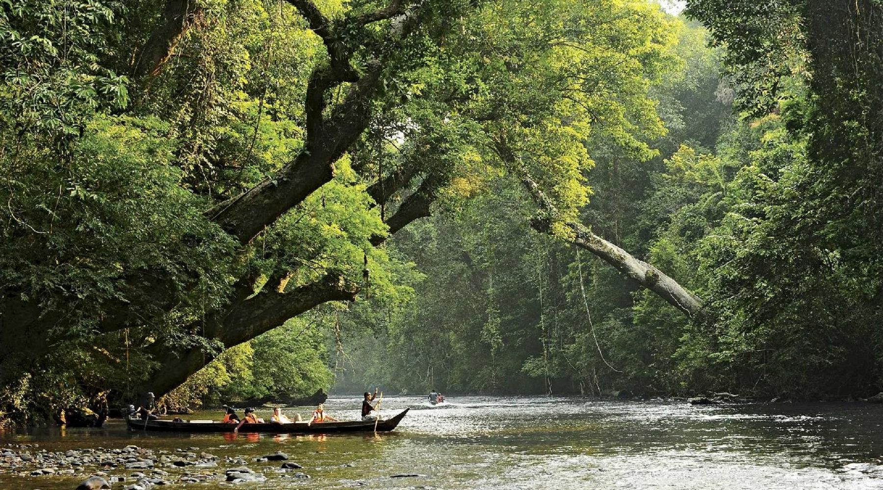 Taman Negara National Park | Experience Travel Group